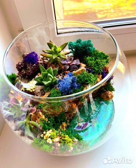 Весенняя цветочная композиция Флорарум Моссариум