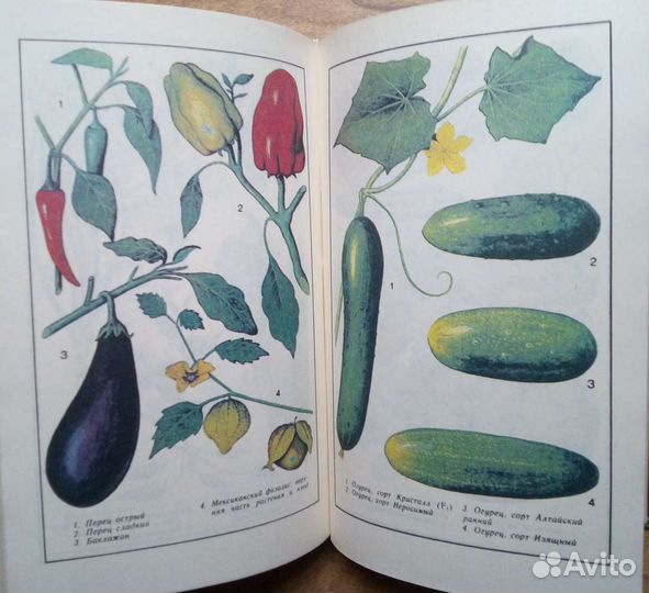 Ваш огород (Азбука быта) 1998г