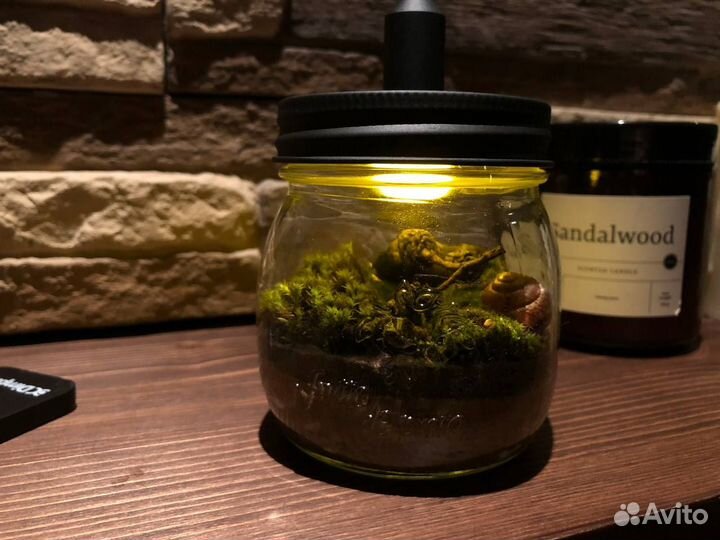 Флорариум, мохариум