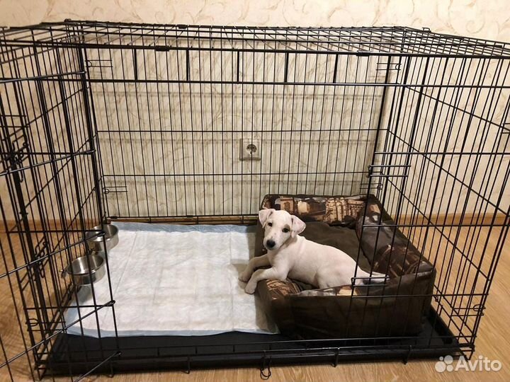 Клетка для собак