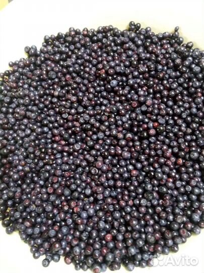 Черника свежая