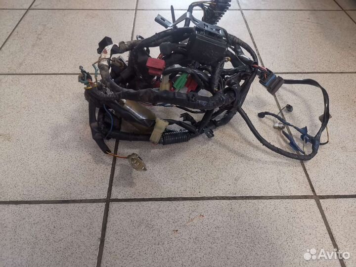 Жгут проводов Honda CBR 600 f3