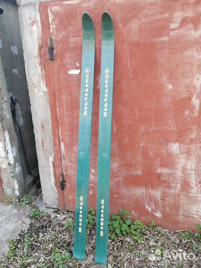 Лыжи Вологда Лесные