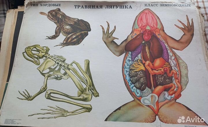 Плакаты обучающие СССР 3