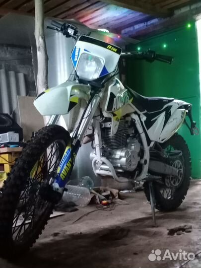 Avantis fx250lux