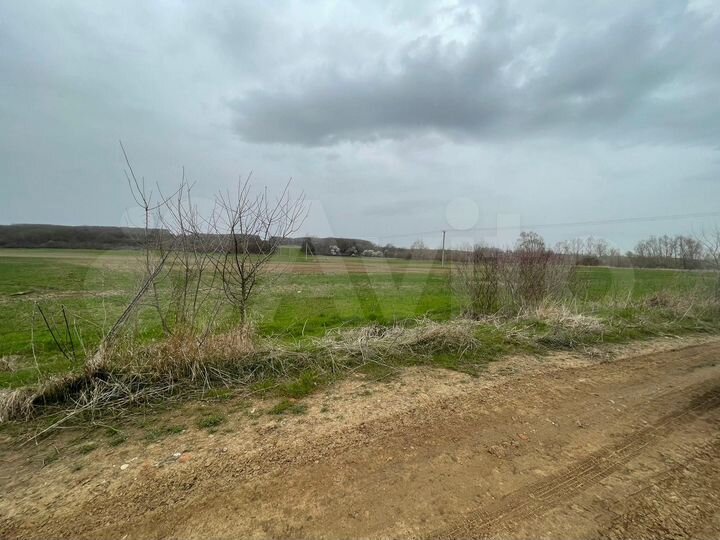 Участок 1,5 га (СНТ, ДНП)