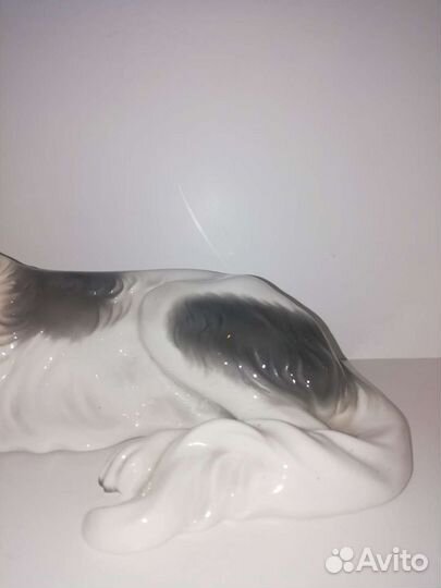 Русская борзая, Германия, не Rosenthal