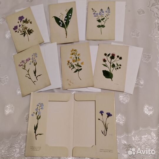 Открытки ботанические Воспоминания о лете СССР