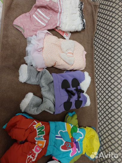 Одежда для собак