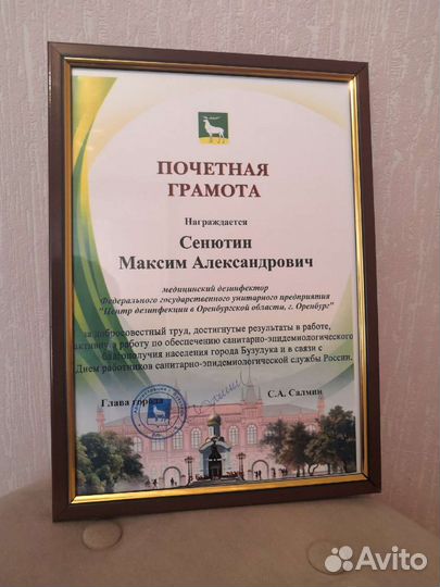 Борьба с тараканами, клопами, муравьями