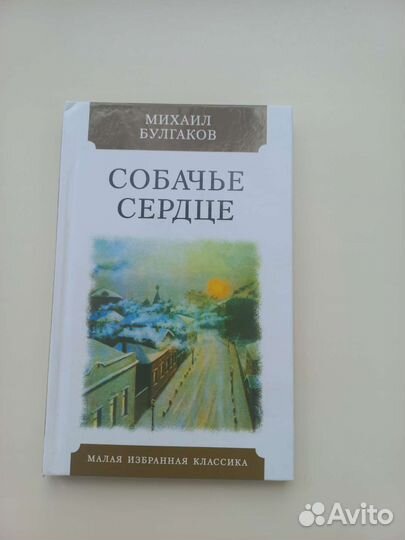 Книги по литературе программы 9-ого класса