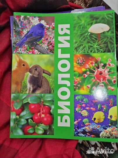 Тетради предметные