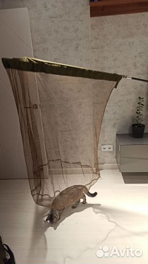 Подсак Greys prodigy 36