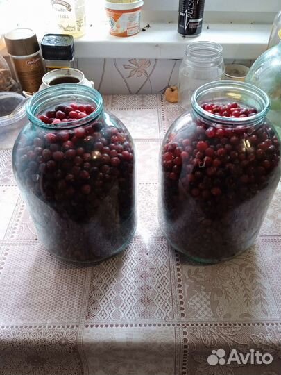 Клюква чистая