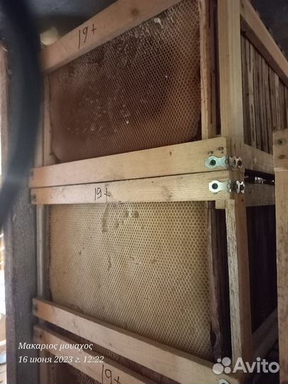 Сушь для пчел