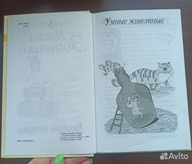 Книга для детей младшего школьного возраста