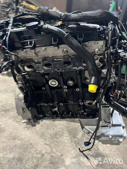Двигатель 651 Mercedes 2020 новый
