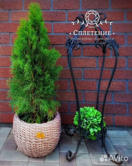 Кашпо плетеное
