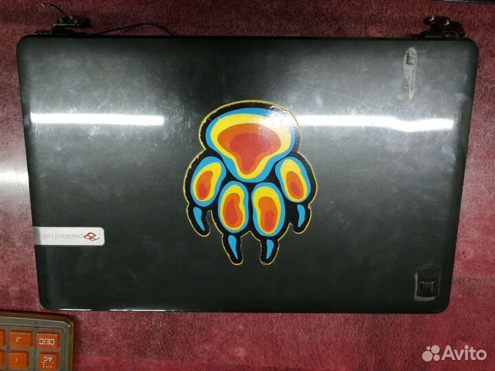 Packard Bell запчасти