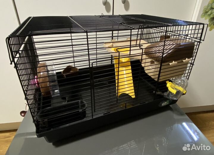 Новые клетки для грызунов (Россия)