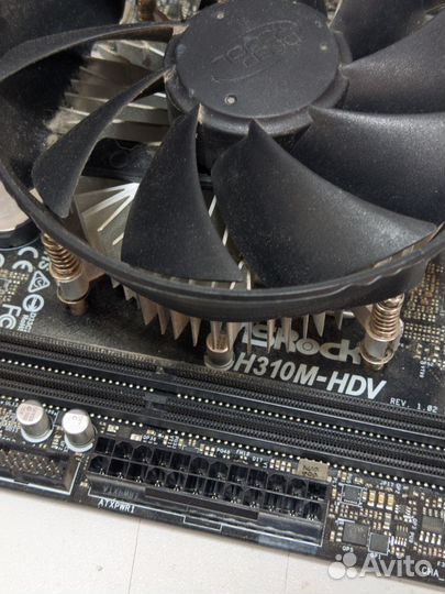 I3 8100 + Asrock H310M-HDV