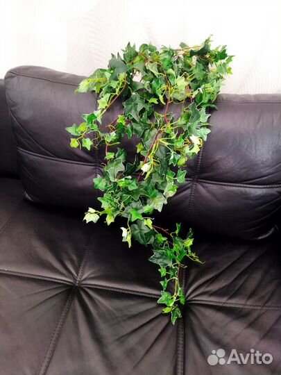 Искусственные комнатные цветы плющь