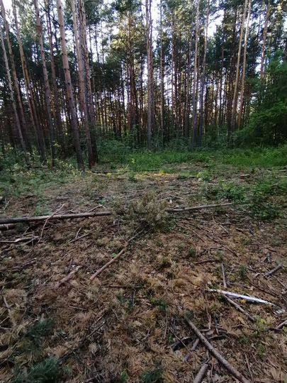 Участок 6,6 сот. (ИЖС)