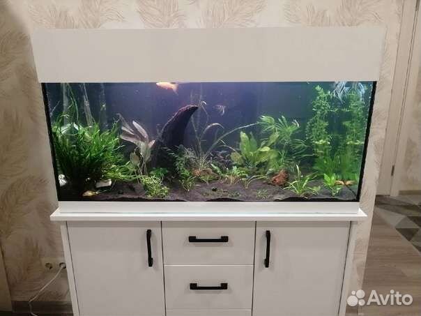 Аквариум на заказ и изделия из стекла