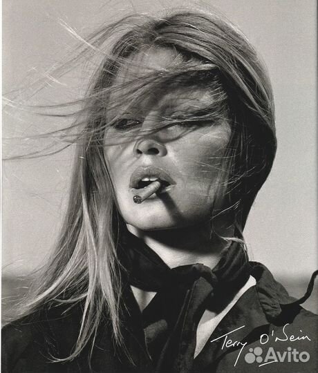 Terry ONeill: The Opus