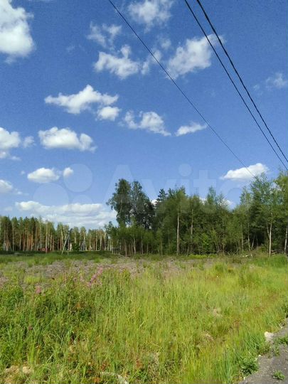 Участок 8,8 сот. (СНТ, ДНП)