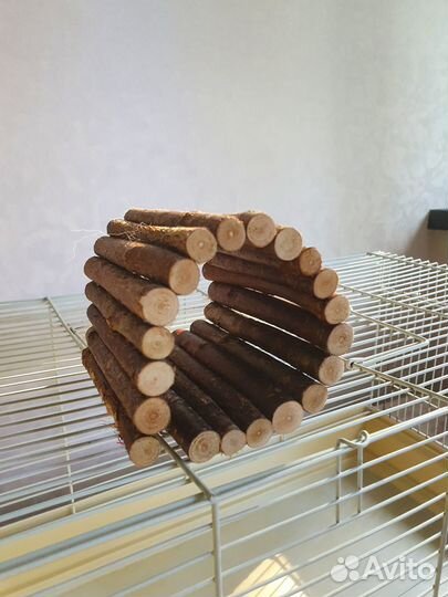 Товары для крыс, хомяков