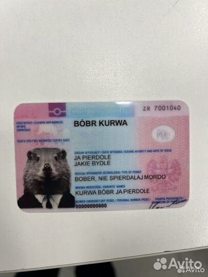 Права бобра