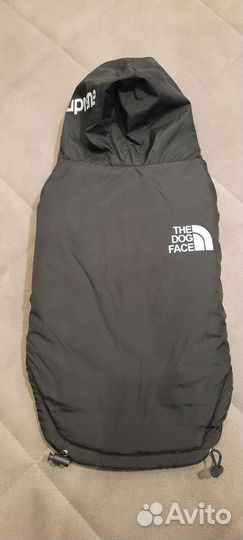 Одежда для средних собак, новое