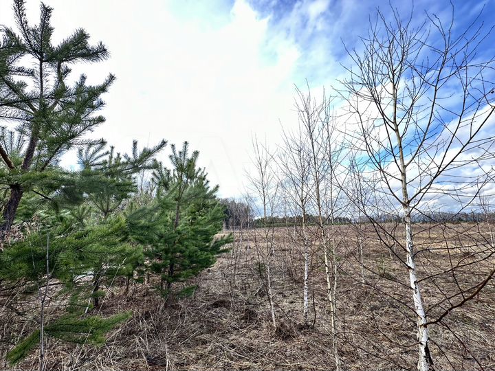 Участок 12,9 сот. (ИЖС)