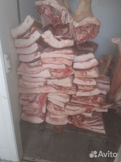 Сало на саление оптом продам