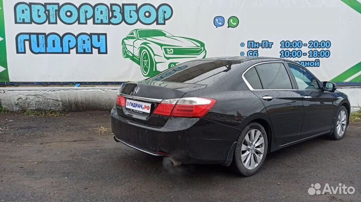 Петли двери задней левой Honda Accord