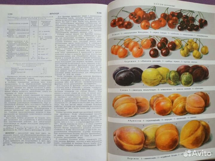 Энциклопедия домашнего хозяйства СССР 1969 год