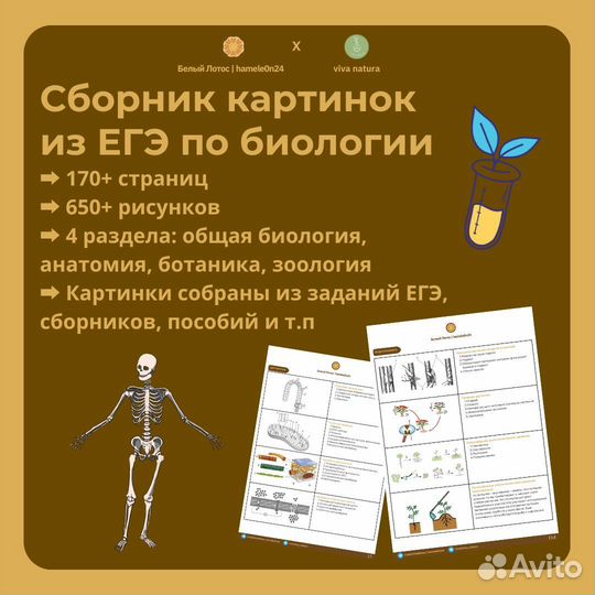 Сборник картинок из ЕГЭ по биологии
