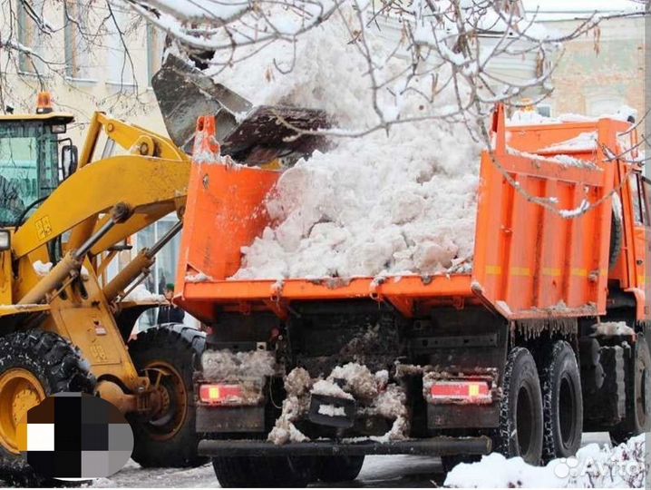 Снос домов Вывоз мусора хлама Планировка участков