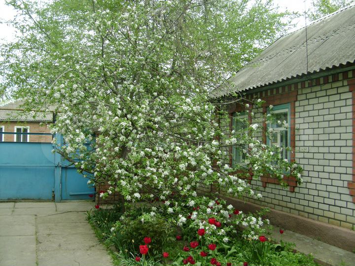 Авито ипатово. Улицы Ипатово Профсоюзная. Ипатово Ставропольский край , ул.Калинина 132. Ипатово улица Профсоюзная дом 34. Профсоюзная 29 Ипатово.