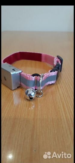 Ошейник