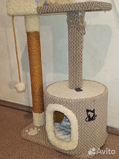 Когтеточка