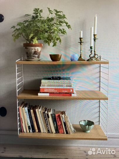 Душистая герань, гиппеаструм