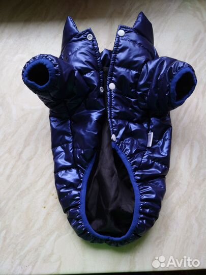 Одежда для собак