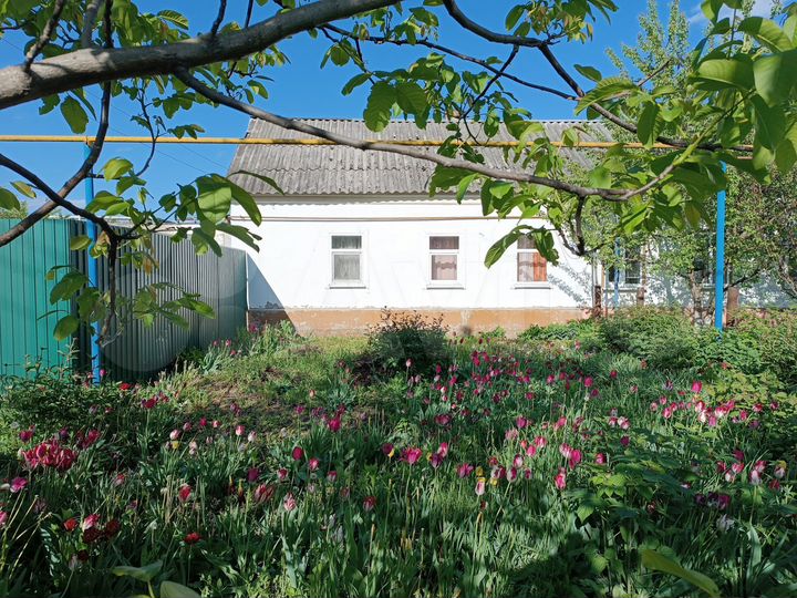 Дом 60 м² на участке 16 сот.