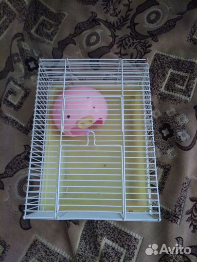 Продам клетку переноску небольшую