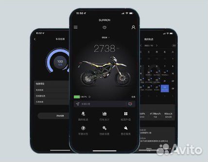 Surron ultra bee T в Наличии