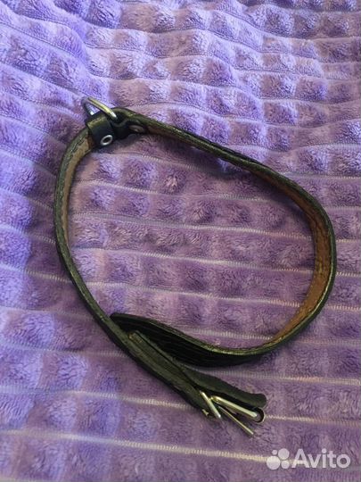 Ошейник для собак