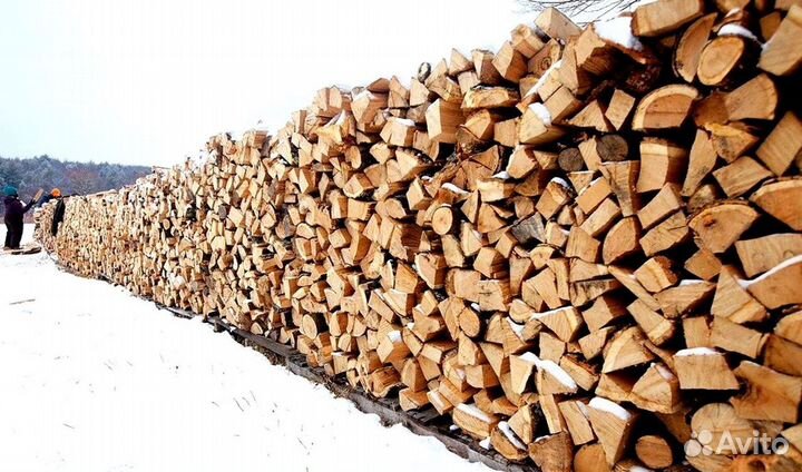 Дрова премиальные