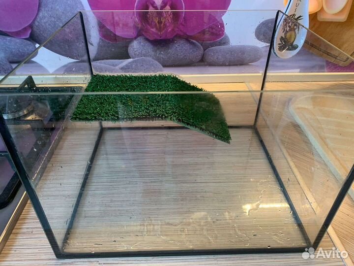 Террариум для красноухой черепахи